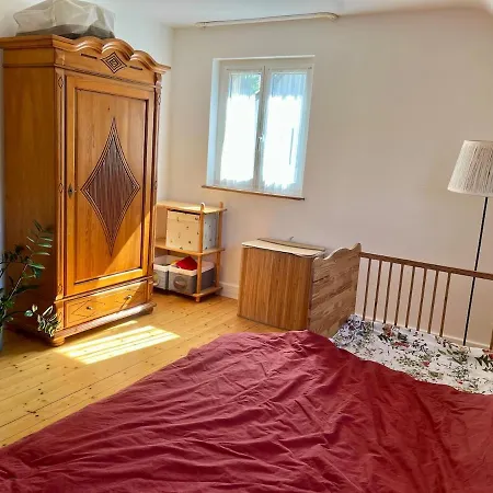 公寓 Black Forest Family 弗赖堡