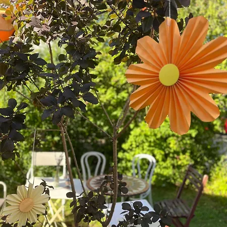 Black Forest Family Apartment