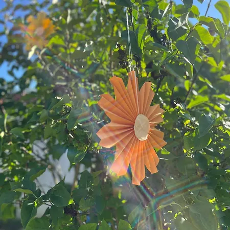 Black Forest Family 公寓