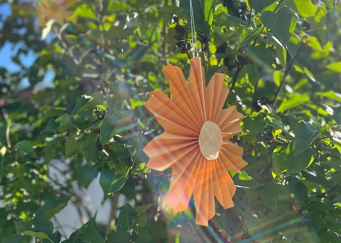 Black Forest Family Apartment