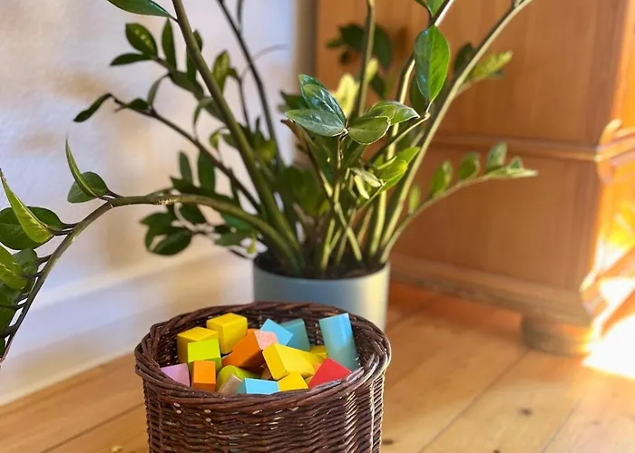 Apartment Black Forest Family Freiburg im Breisgau